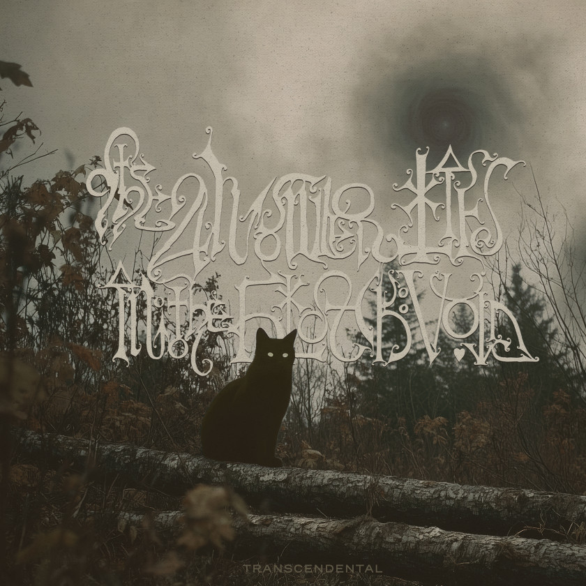 [L’Avenir by the dilettante] Merel Avenir - Primitive Maxi Trial - Boomkat